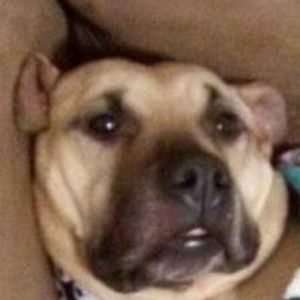 Meet your Posher, Kathryn